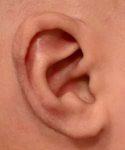 newborn ear correction after